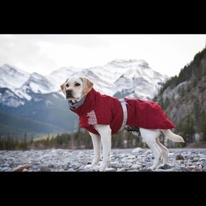 HURTTA extreme warmer dog jacket